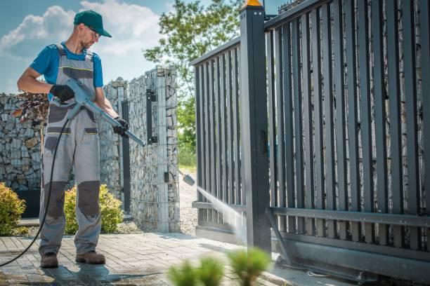 Best House Exterior Washing  in Elbow Lake, MN